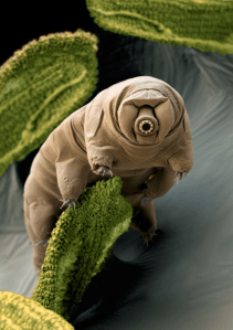 Screen Shot 2015-08-24 at 7.01.07 PM